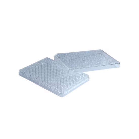 滅菌ペトリ皿培養プレート ウェル培養プレート V 底および U 底ディープウェルプレート